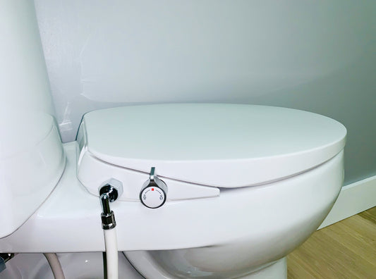 Toilet bidet