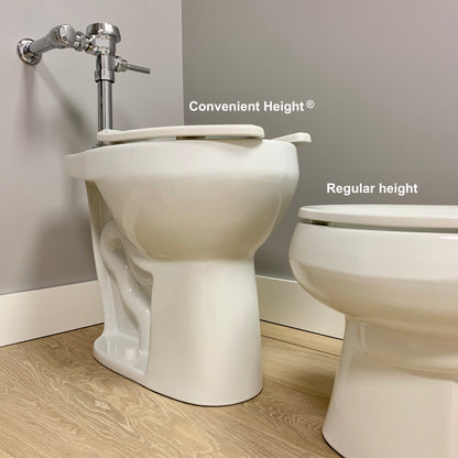 Commercial 20 inch Extra Tall Elongated Bowl for Spud and Flushometer